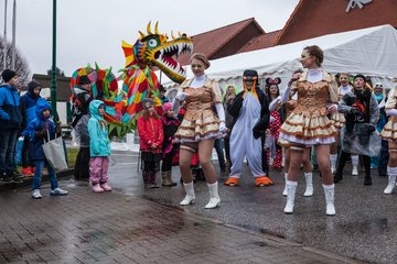 Bild 536 - Latuff 2017